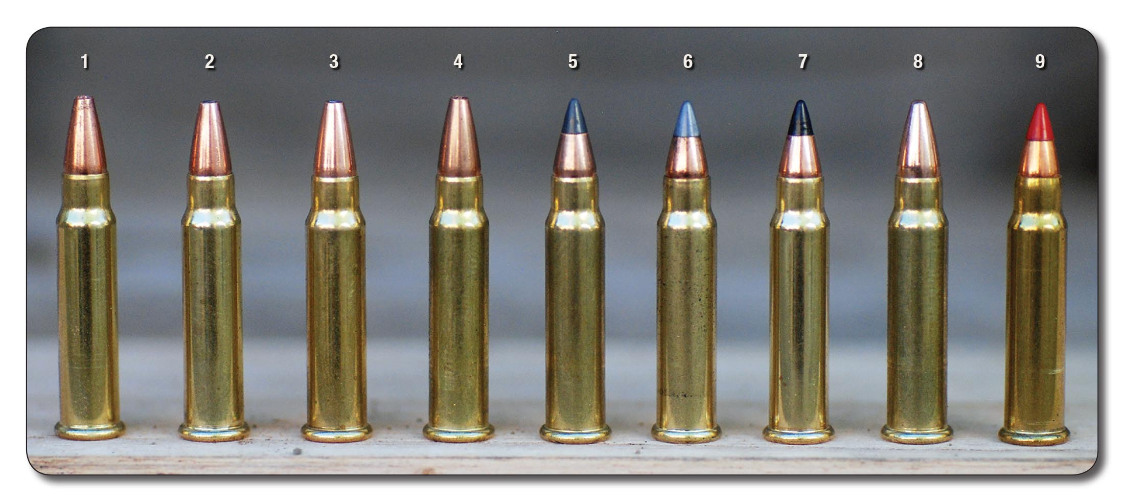 There are a variety of .17 HMR rounds available today: (1) CCI TNT Green 16-grain non-lead hollowpoint, (2) Hornady XTP 20 hollowpoint, (3) CCI Gamepoint 20 softpoint, (4) Federal Premium 17 TNT hollowpoint, (5) CCI A17 Varmint Tip 17 polymer tip, (6) Winchester HV 17 polymer tip, (7) CCI V-MAX 17 polymer tip, (8) CCI 20 FMJ and the (9) original Hornady V-MAX 17-grain polymer tip.